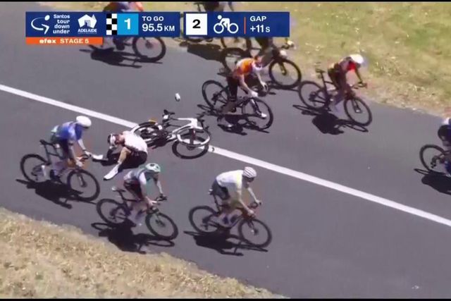 Que susto! Canguru provoca queda do pelotão