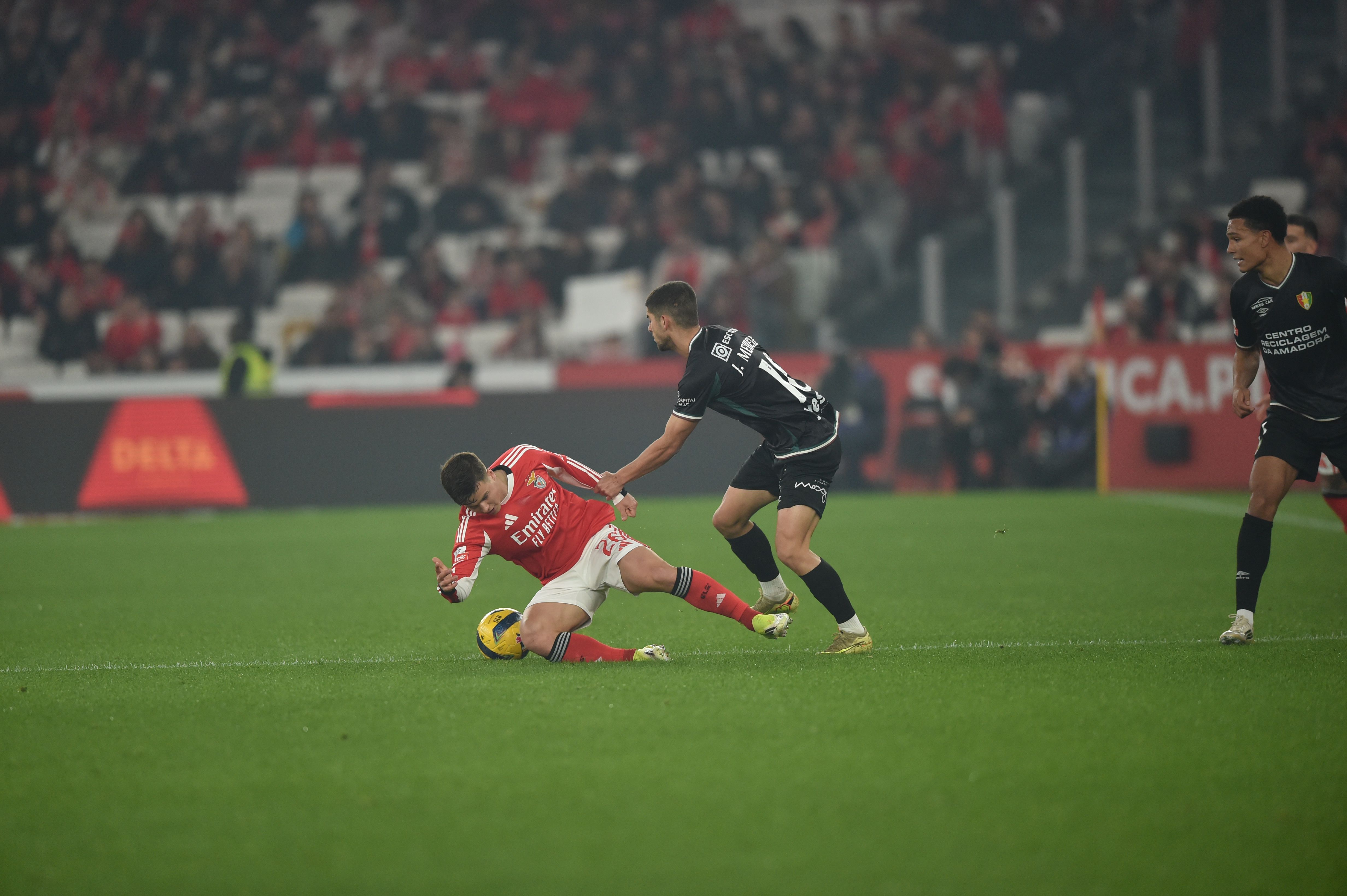 - Foto: Miguel Nunes