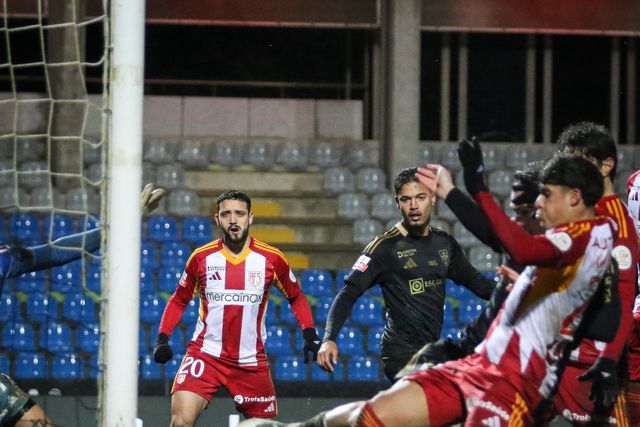 Aves SAD: novos sinais de vida antes de jogo importante