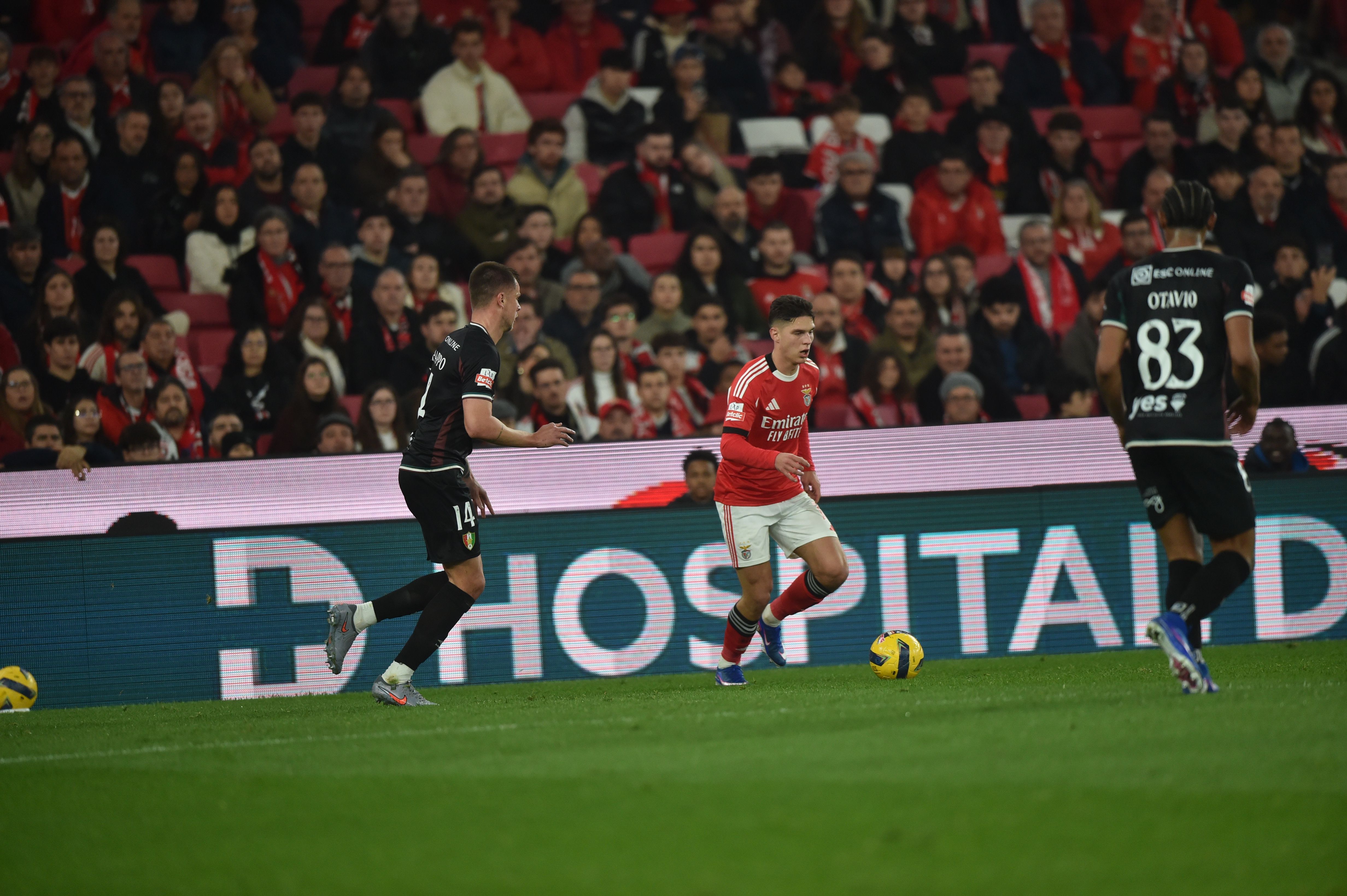 Sudakov  - Foto: Miguel Nunes