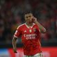 Destaques do Benfica: «Kokçu montou circo para Rafa e Neres atearem fogo»