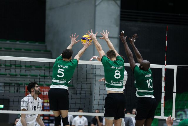 Leões sofrem primeira derrota no território dos trigres