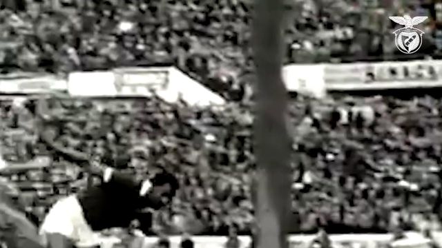 Benfica recorda o «eterno capitão»
