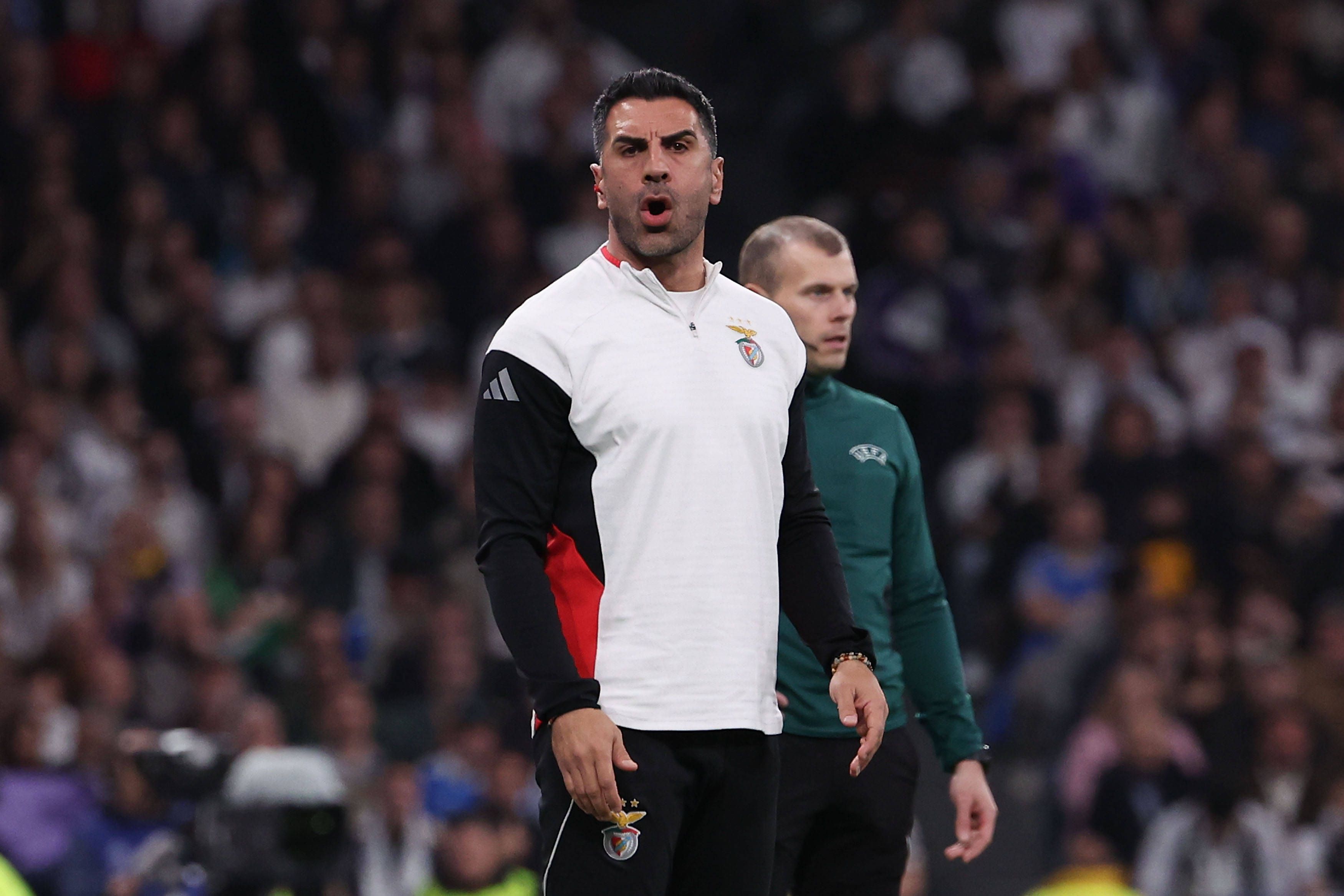 Ricardo Rocha dá indicações no banco do Benfica - Foto: IMAGO