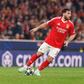 O médio Kokçu em fase de jogo pelo Benfica