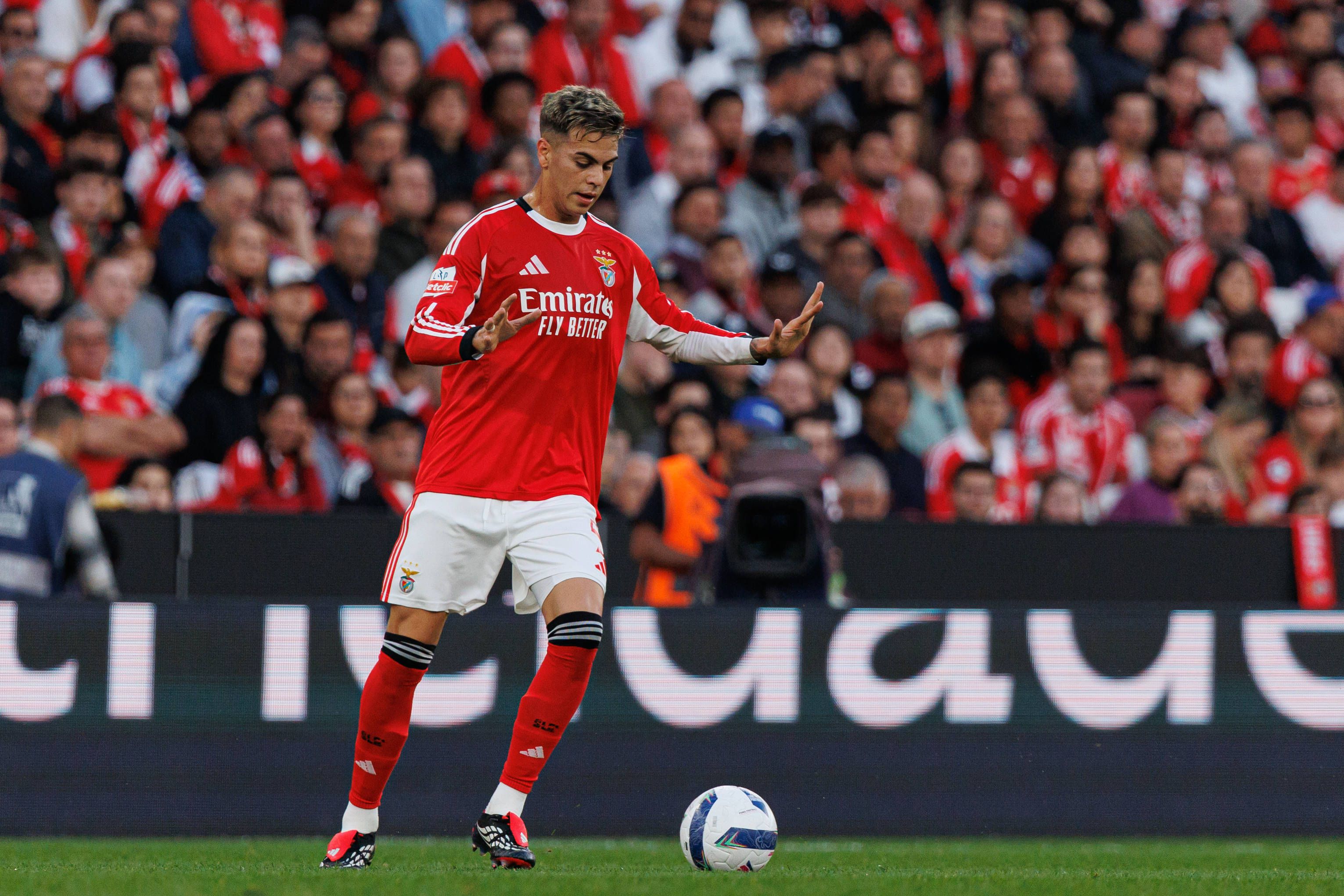 Enzo Barrenechea, médio do Benfica