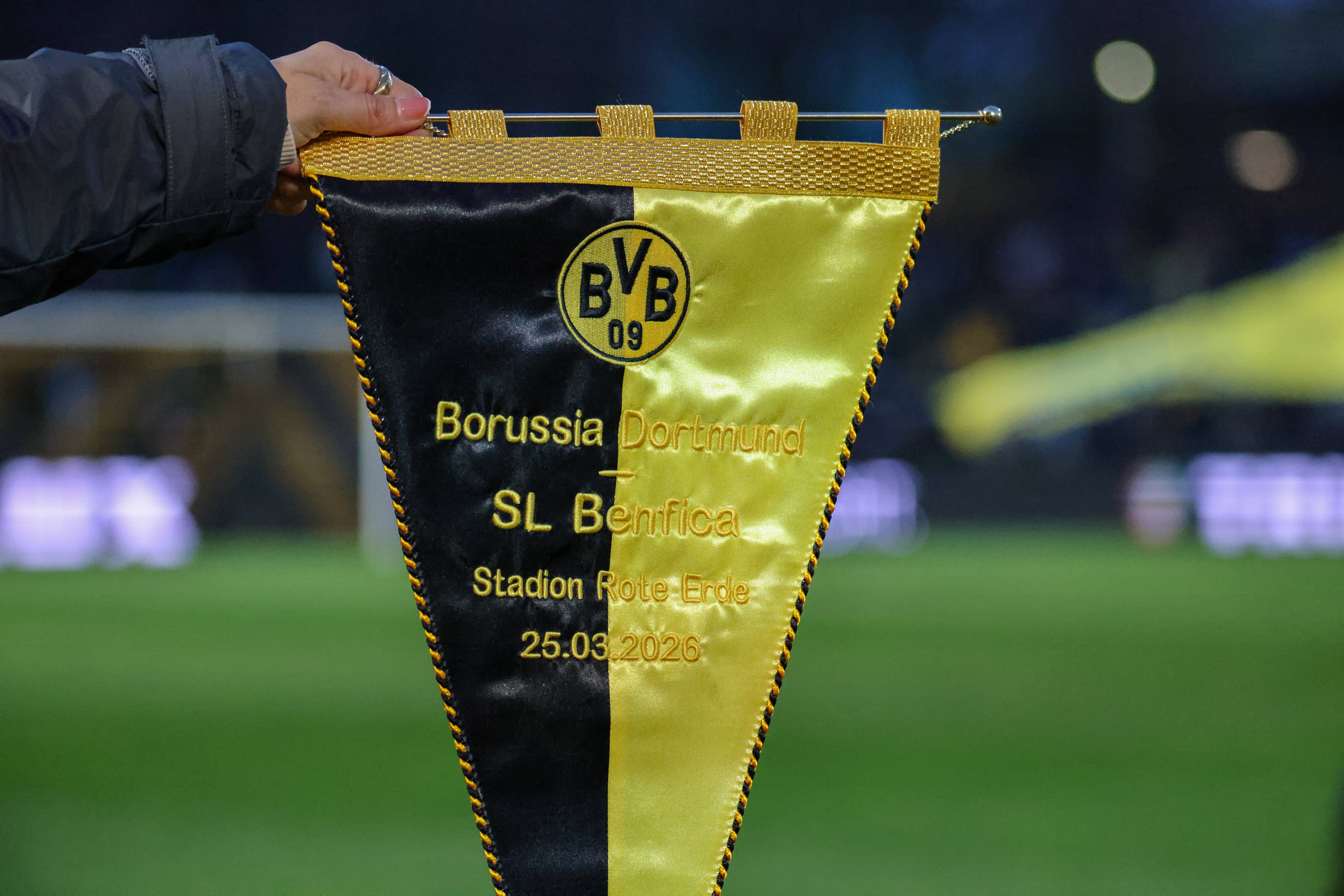 O galhardete oficial - Foto: IMAGO