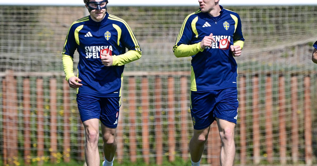 Ex-Benfica sem papas na língua: «Se ainda estiver na seleção daqui a quatro anos, será muito mau sinal»