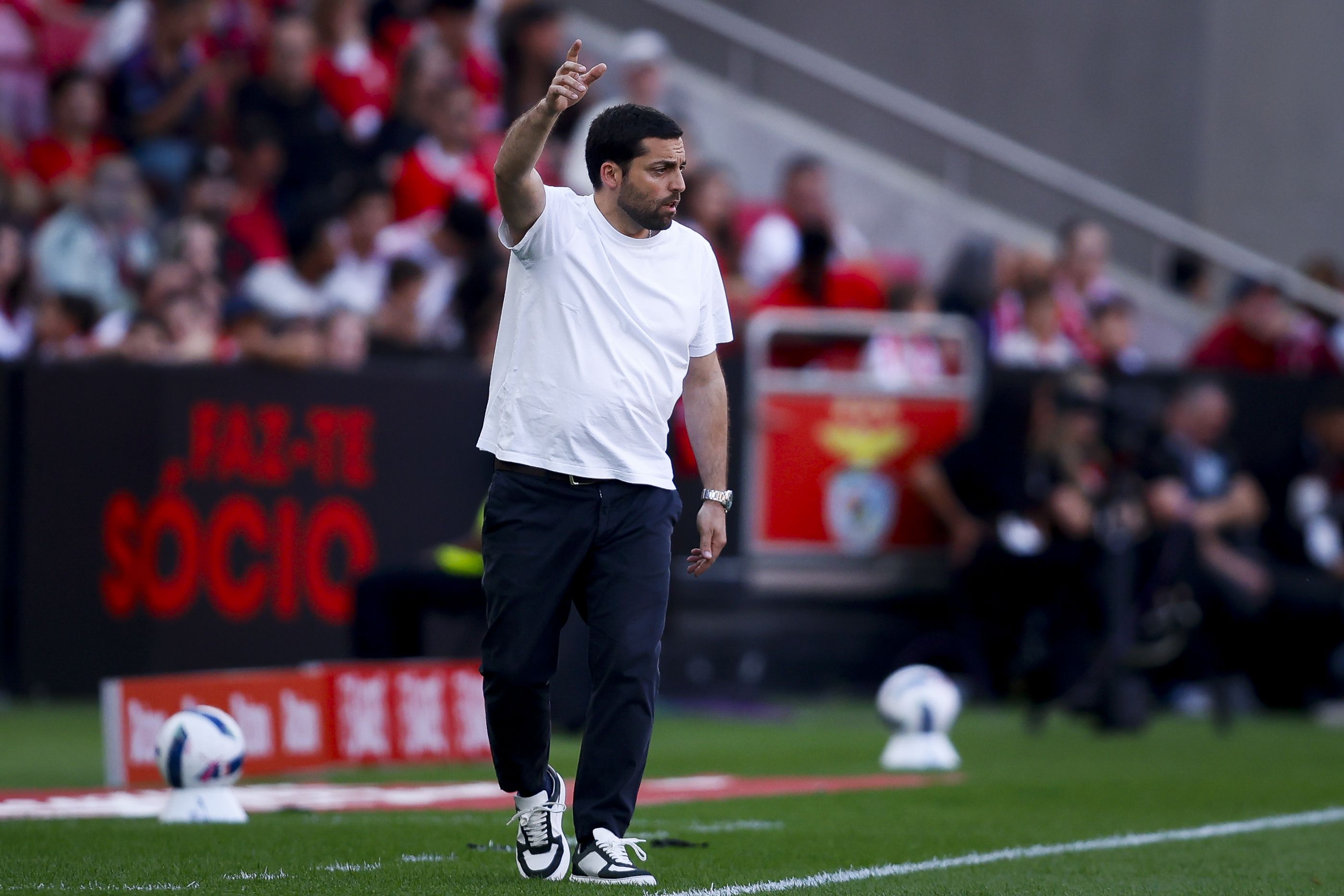 Vasco Botelho da Costa, treinador do Moreirense, no jogo frente ao Benfica - Foto: Filipe Amorim/LUSA