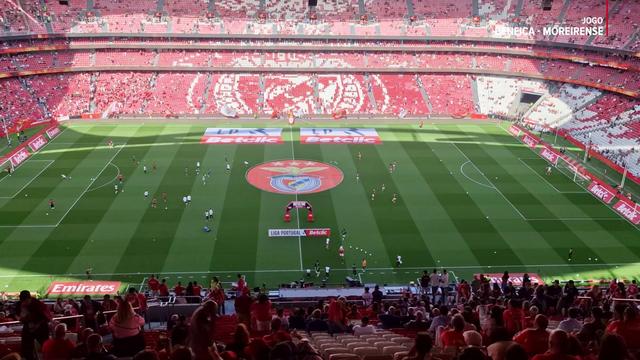 Benfica e Moreirense aquecem no Estádio da Luz