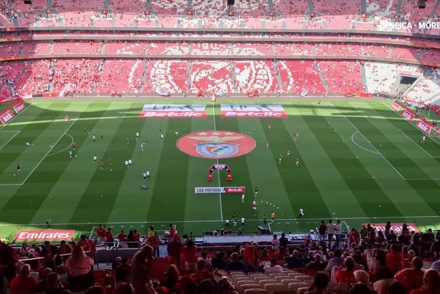 Benfica e Moreirense aquecem no Estádio da Luz