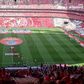 Benfica e Moreirense aquecem no Estádio da Luz