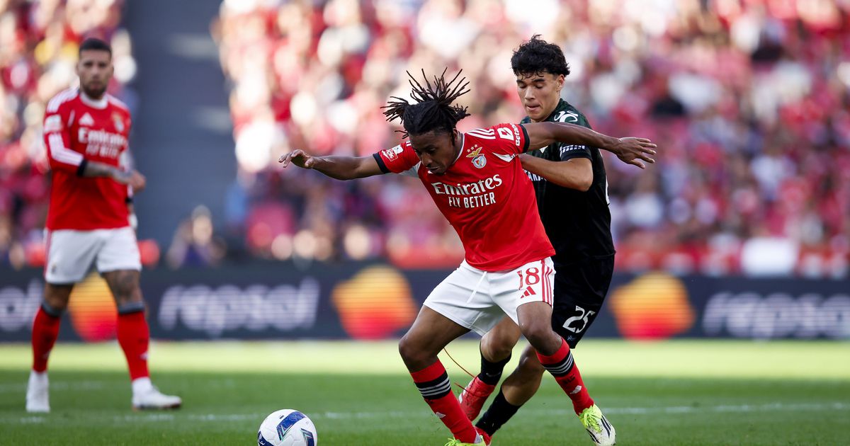 Leandro Barreiro fala da «energia positiva» no Benfica