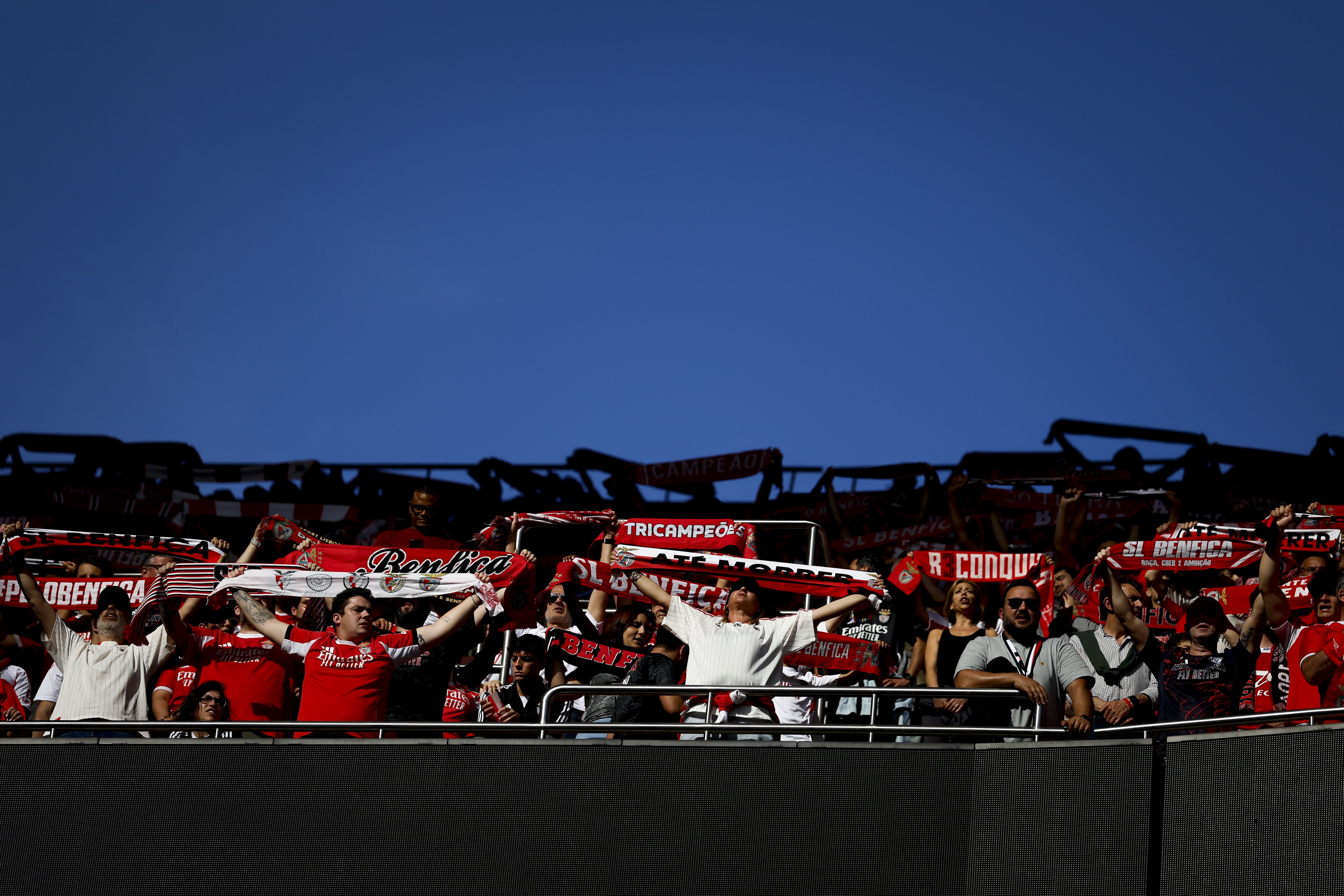 Adeptos do Benfica no Estádio da Luz - Foto: Filipe Amorim/LUSA
