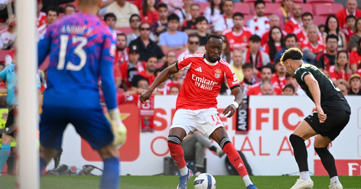 «Lukebakio pode ser muito útil... se correr para trás»