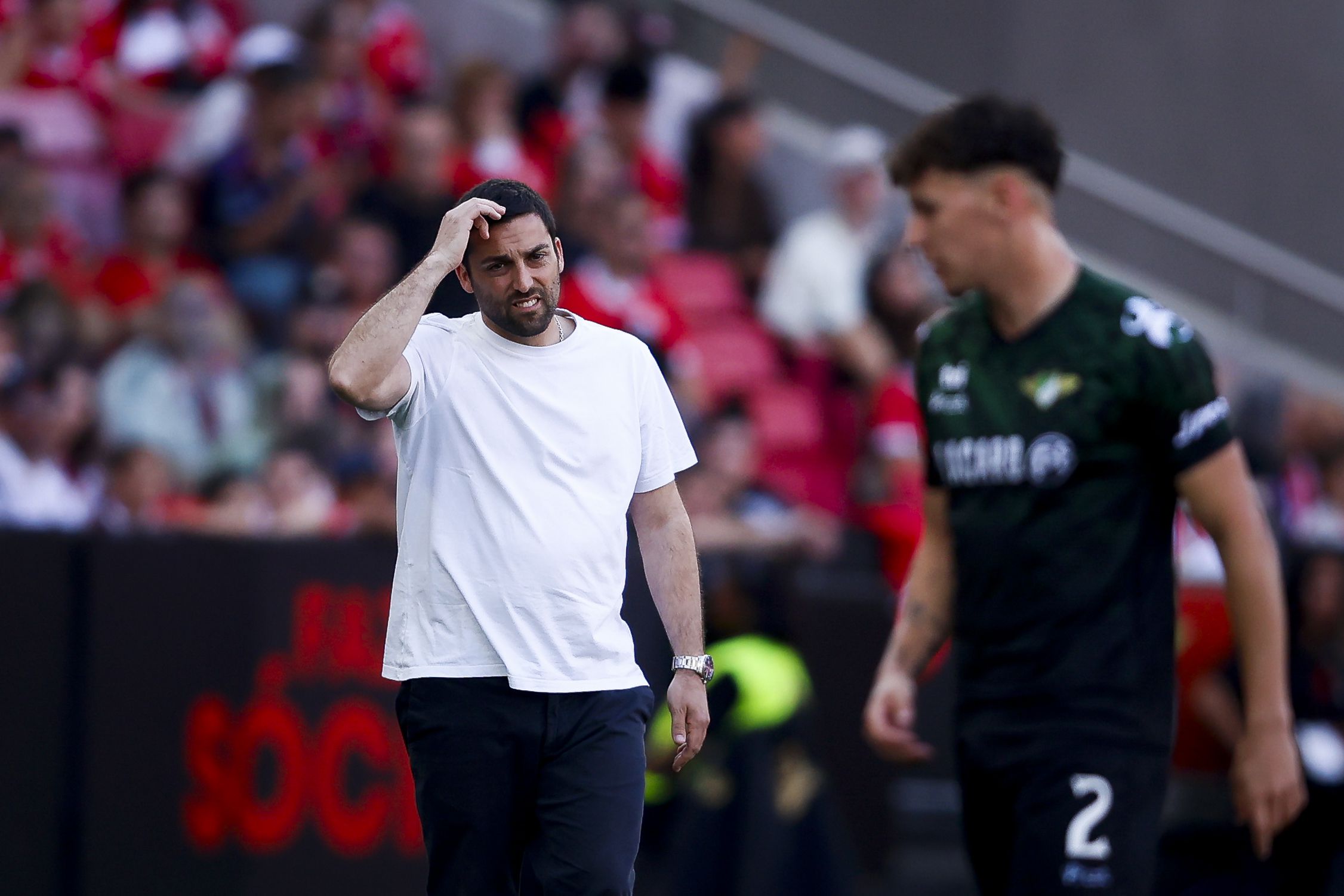 Vasco Botelho da Costa, treinador do Moreirense, no jogo frente ao Benfica - Foto: Filipe Amorim/LUSA