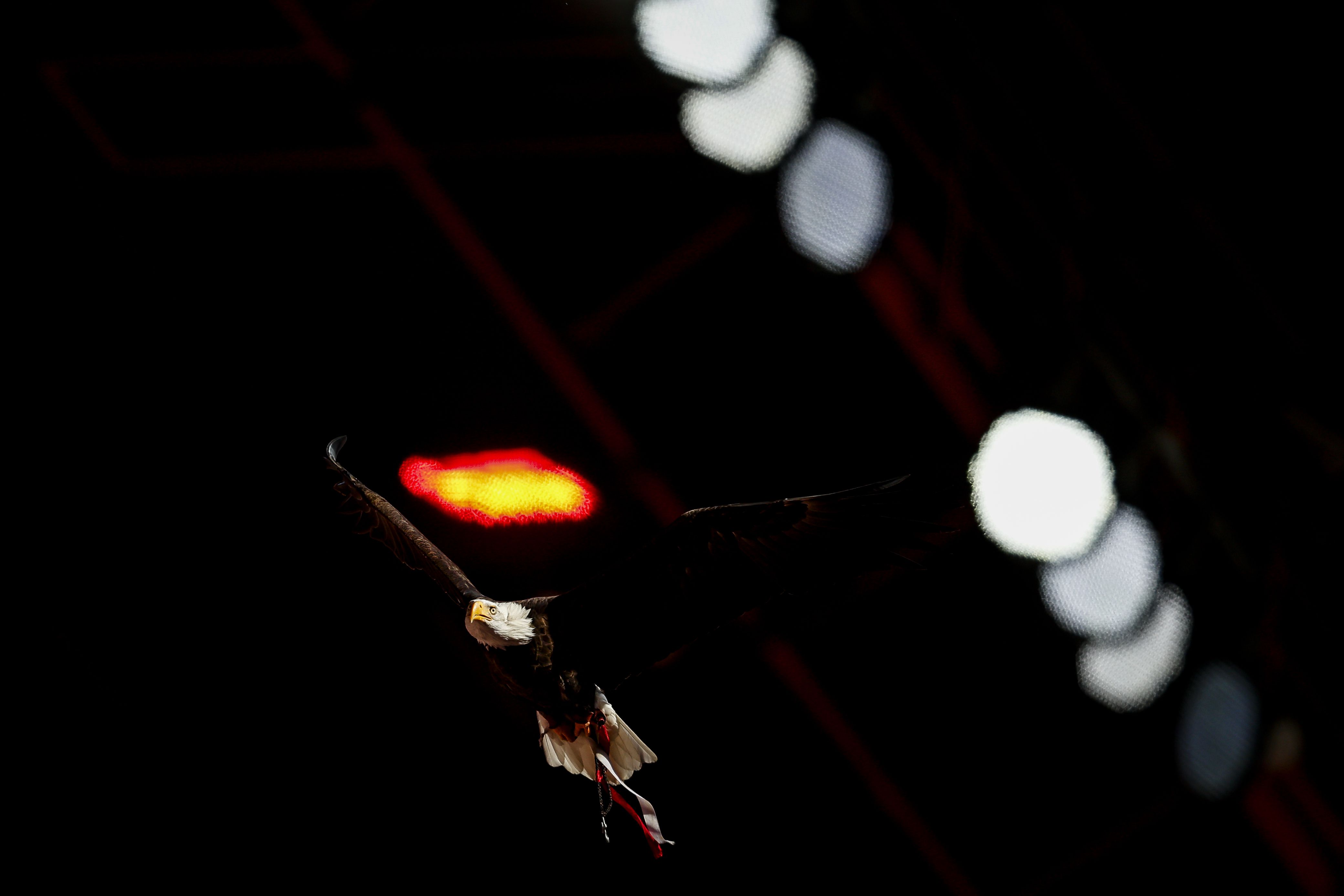 Voo da águia Vitória - Foto: Filipe Amorim/LUSA