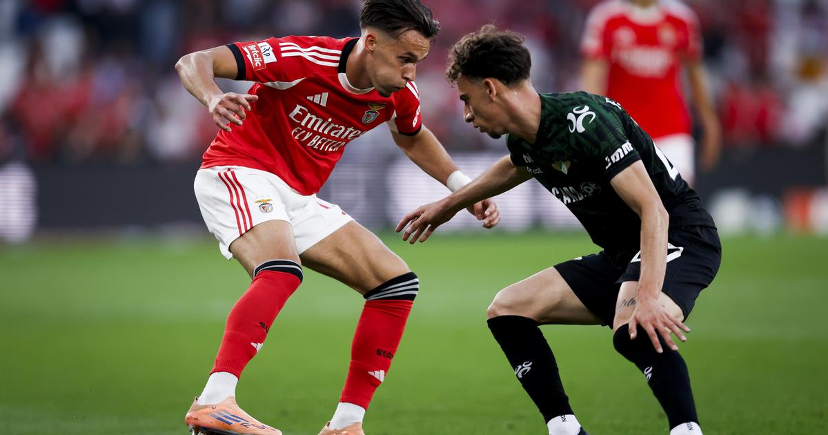 Benfica: perigo alemão ameaça Dedic