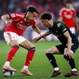 Dedic em ação no jogo frente ao Moreirense  — Foto: Filipe Amorim/LUSA