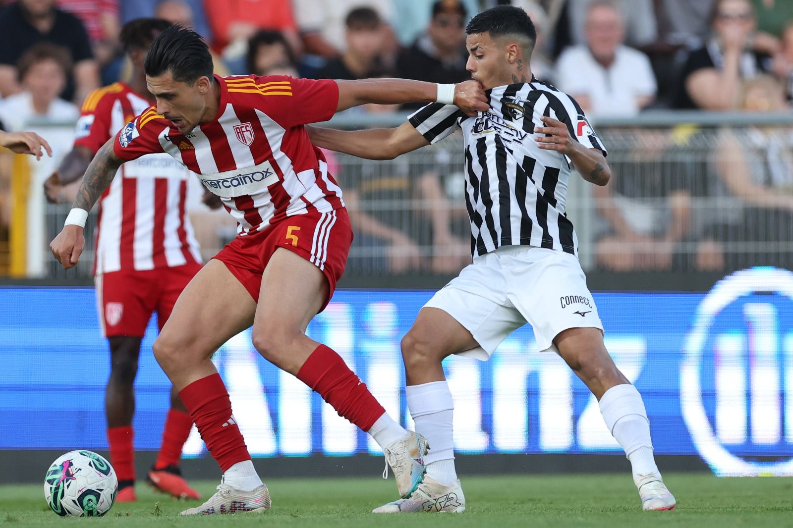 Aves SAD-Portimonense: Promessa de fortes emoções no cair do pano