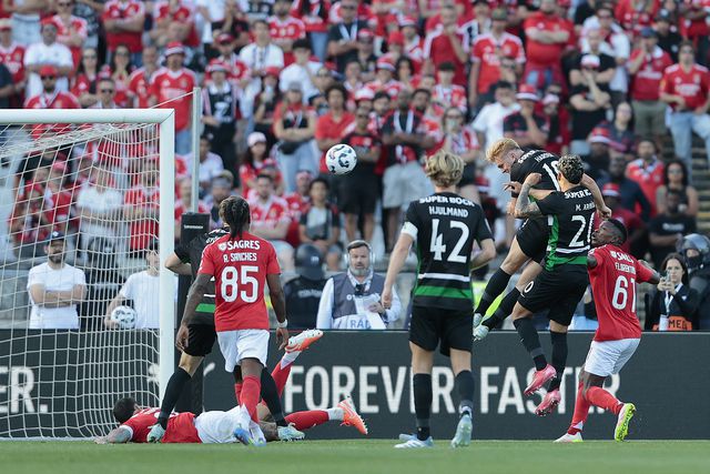 Viktor, Conrad, Francisco e Ángel