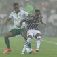Palmeiras perde com o penúltimo, Botafogo empata com o São Paulo
