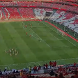 A reação dos adeptos nas bancadas ao anúncio da equipa do Benfica