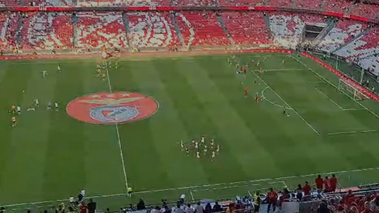 A reação dos adeptos nas bancadas ao anúncio da equipa do Benfica