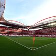 Estádio da Luz - Foto: Miguel Nunes