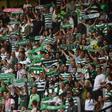 Adeptos do Sporting na bancada - Foto: Miguel Nunes