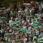 Adeptos do Sporting nas bancadas de Alvalade - Foto: Miguel Nunes