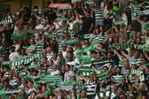 Adeptos do Sporting nas bancadas de Alvalade - Foto: MIGUEL NUNES