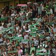 Adeptos do Sporting nas bancadas de Alvalade - Foto: MIGUEL NUNES