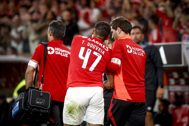 Benfica: saiba as lesões de Gouveia e Aursnes