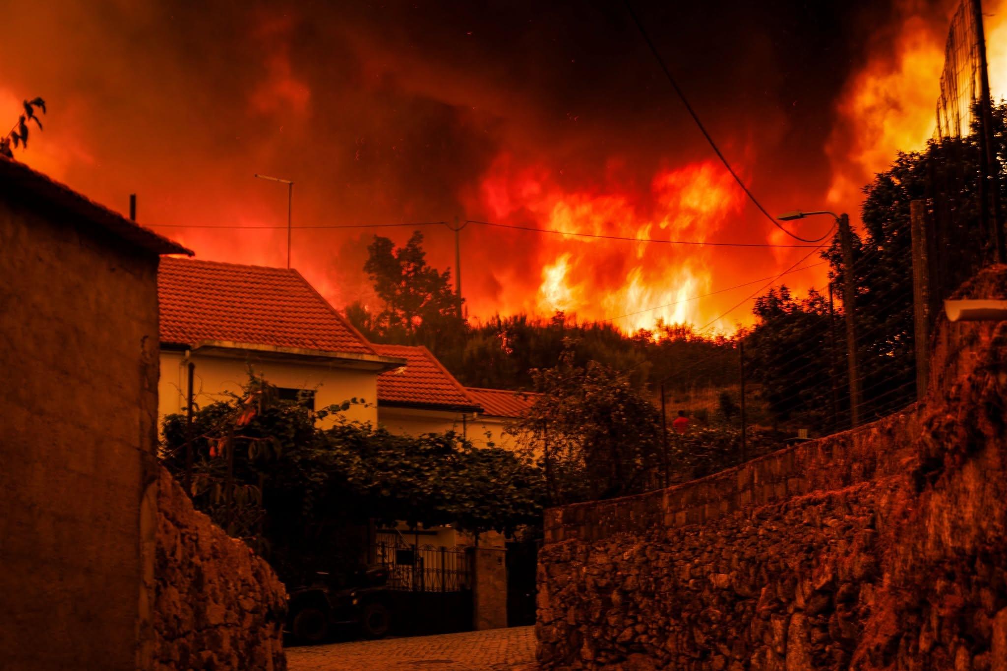 Em todos os verões os incêndios proliferam pelo nosso País - Foto: D. R.