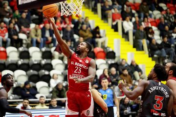 Basquetebol: Benfica esmaga na Liga dos Campeões