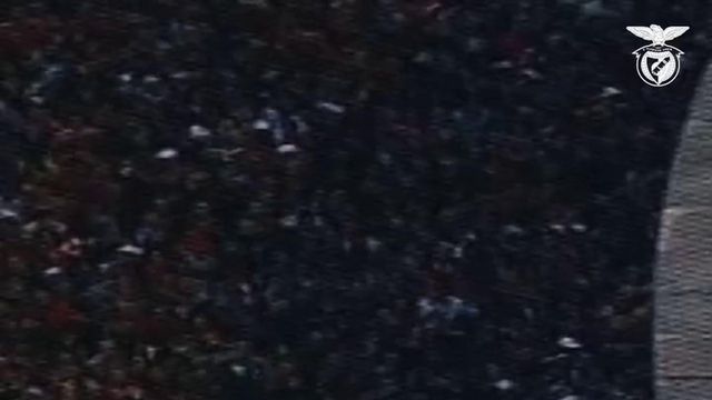 Benfica: olha quem faz anos