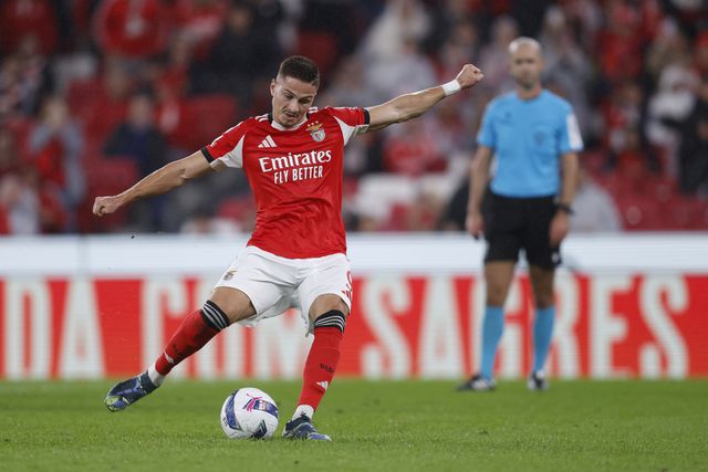 Franjo Ivanovic, avançado do Benfica
