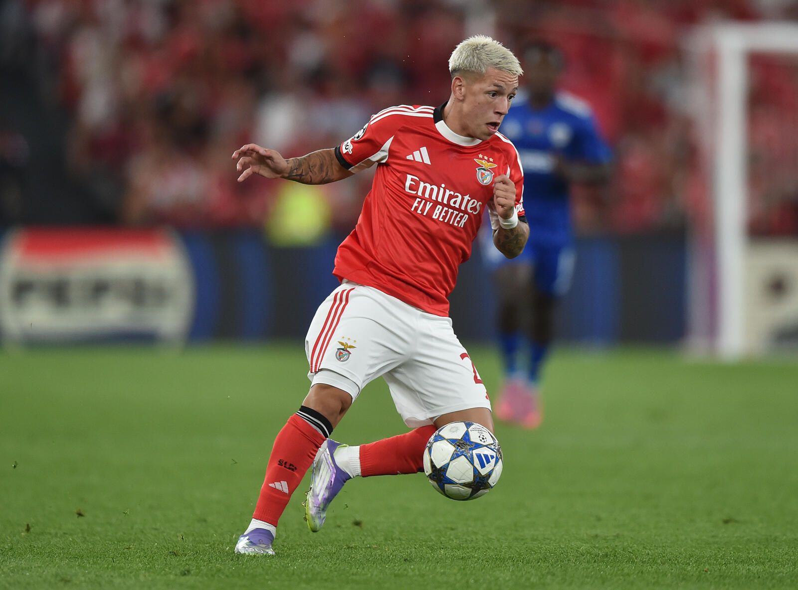 Prestianni, extremo do Benfica - Foto Miguel Nunes