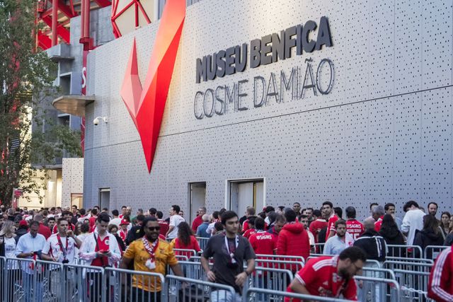 Eleições do Benfica 2025: afluência histórica no Estádio da Luz e nas outras 106 secções de voto espalhadas pelo Mundo. FOTO A BOLA