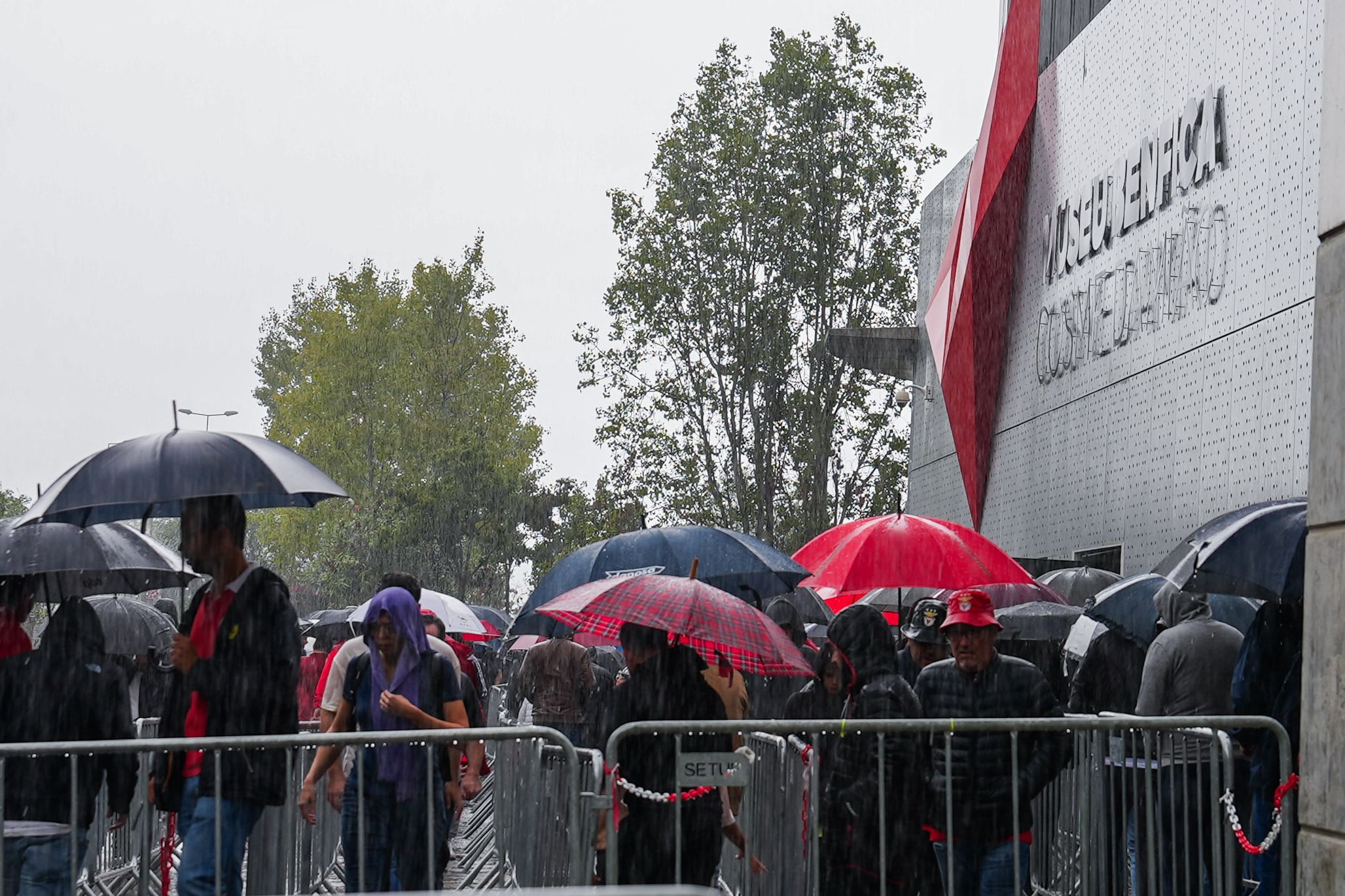 Dia de eleições no Benfica - Foto Mariana Tenório
