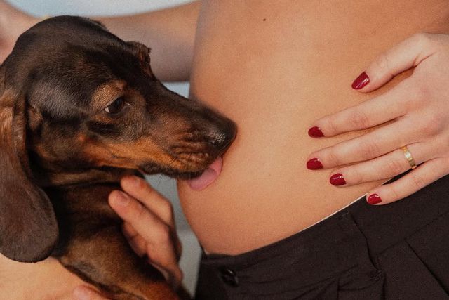 Gonçalo Ramos e Margarida Domingues anunciam que vão ser pais