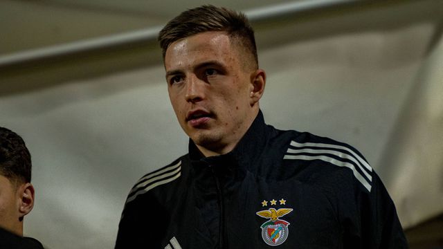 Trubin, guarda-redes do Benfica