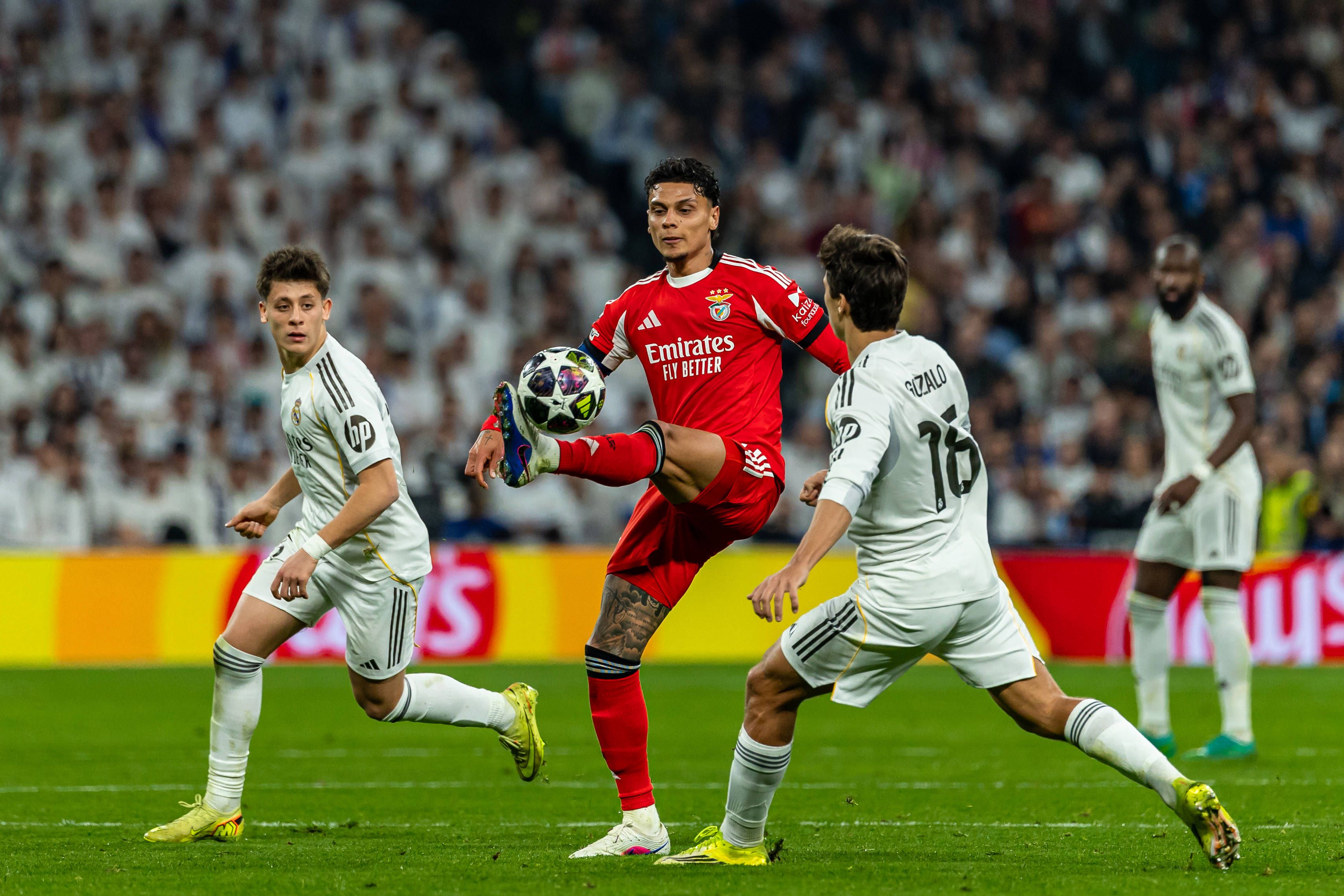 Richard Ríos no Real Madrid-Benfica da Champions League - foto: IMAGO