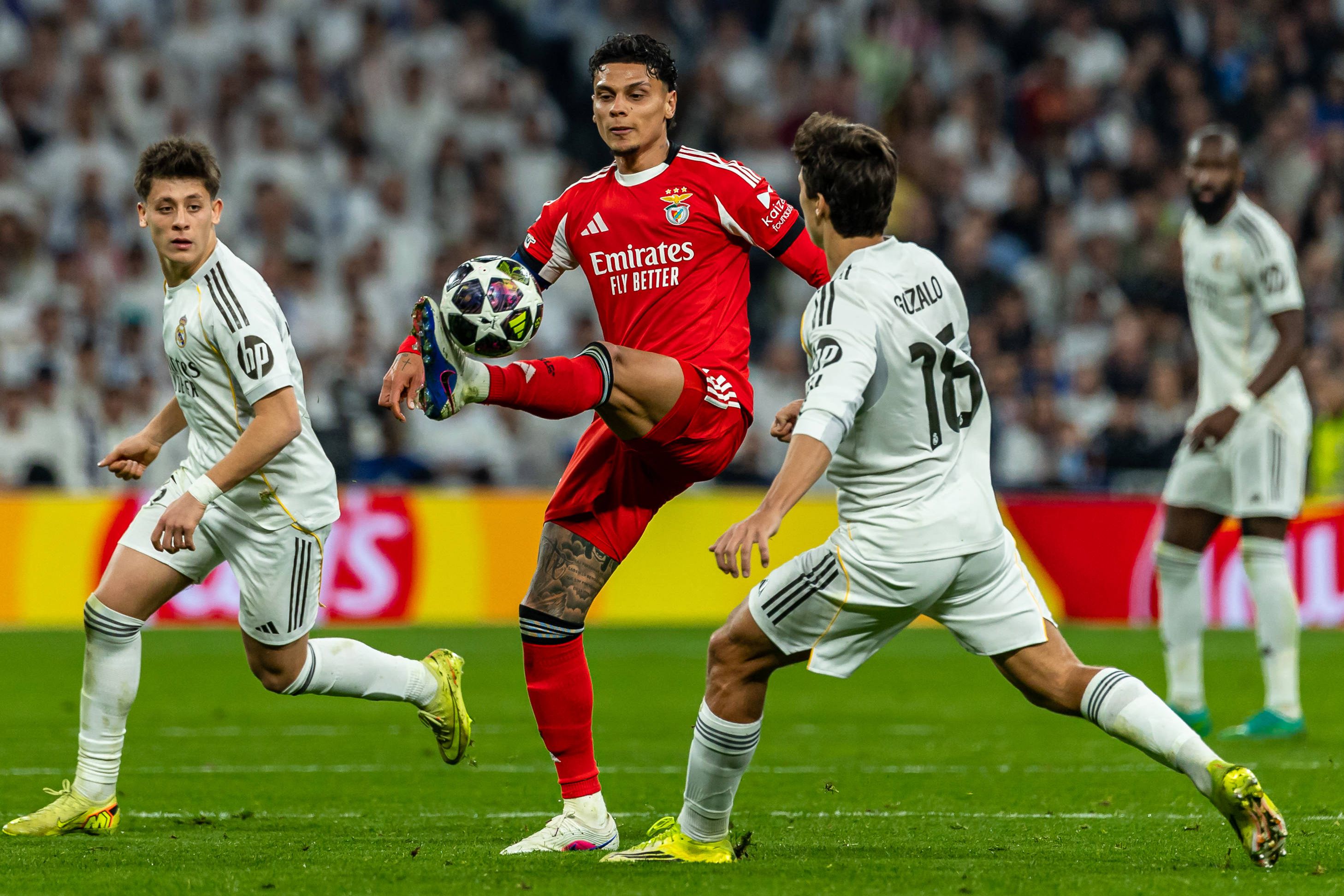 Richard Ríos no Real Madrid-Benfica da Champions League - foto: IMAGO