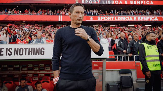 Schmidt já fala da próxima época como treinador do Benfica