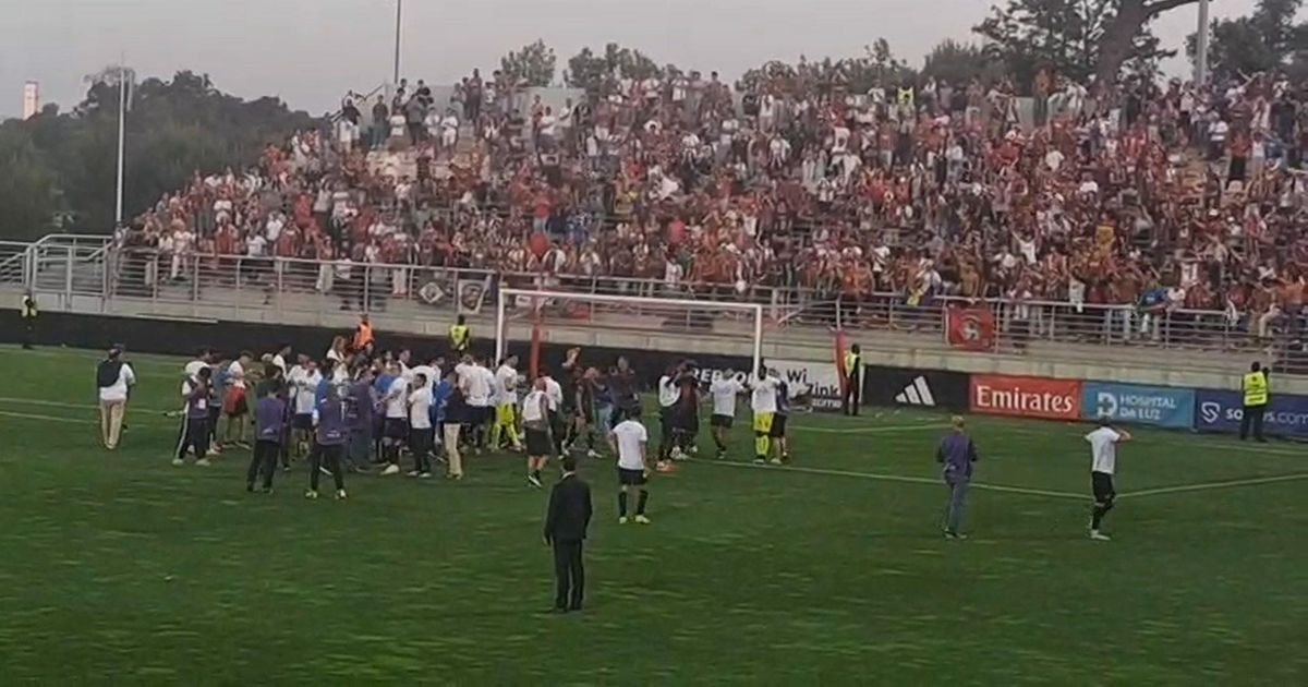 'Invasão' madeirense: Marítimo festeja subida à Liga no Benfica Campus