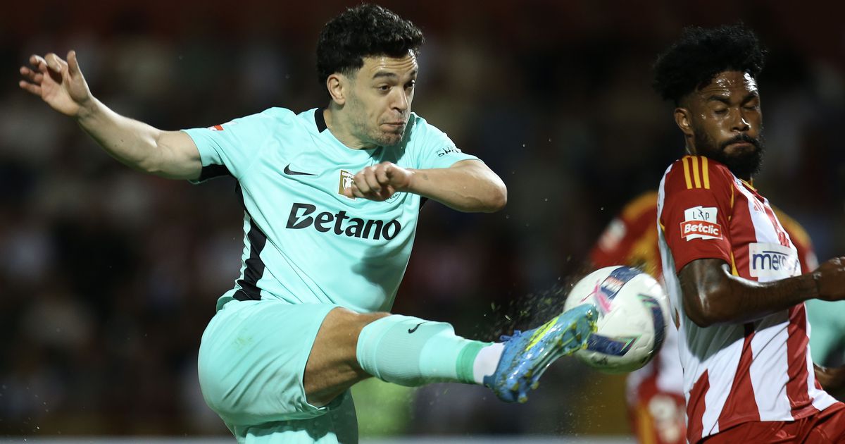 O leão funciona a pilhas e elas estão muito fracas (crónica)