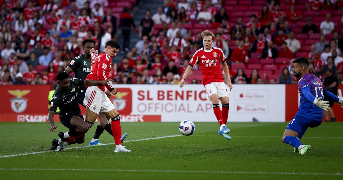 Problemas (com os) grandes em Moreira de Cónegos