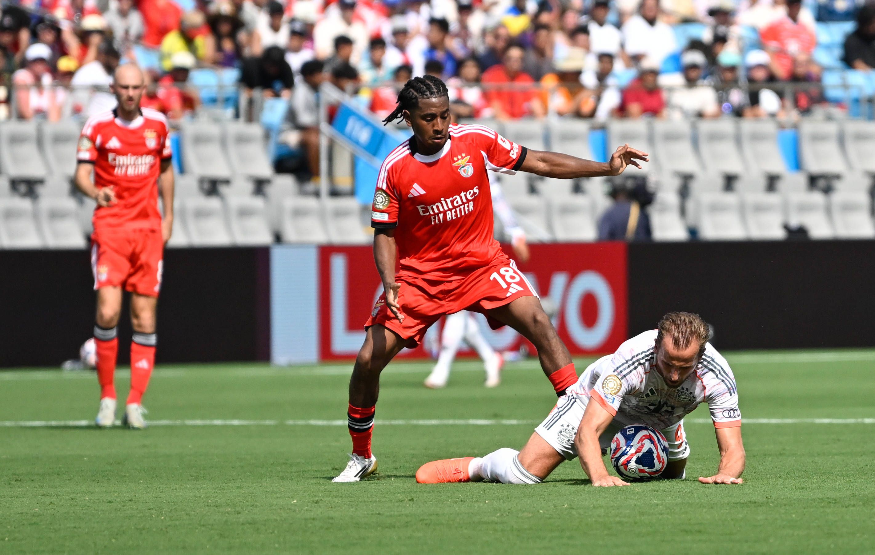 Leandro Barreiro no jogo Benfica-Bayern Foto: IMAGO
